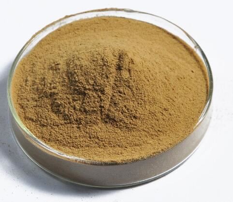 20220211141802d015ab4880d94a899c46f63d9c6a0de5-1 20220211141802d015ab4880d94a899c46f63d9c6a0de5-1