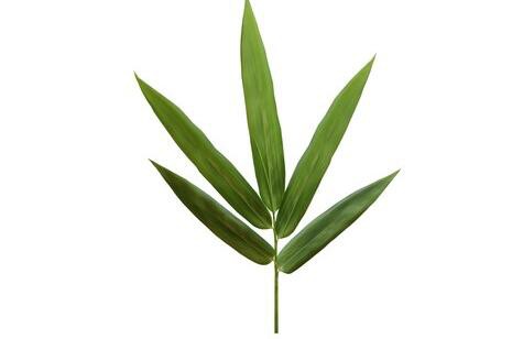 2022021813440649fe5cc681e44f0486d77fe895edb3f0-3 2022021813440649fe5cc681e44f0486d77fe895edb3f0-3