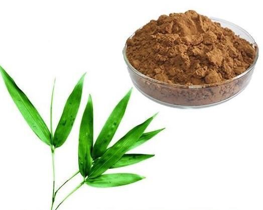 20220221110110405eb58d21cc4ebbbb2c0809e162d3e8 20220221110110405eb58d21cc4ebbbb2c0809e162d3e8