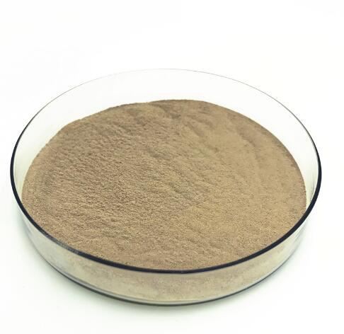 202202211443573b4ccf5c79a64e3cb5ffdd537ead722b-1 202202211443573b4ccf5c79a64e3cb5ffdd537ead722b-1