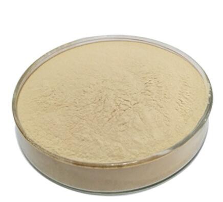 20220224153540fb19ea1908ad45c79a16b0717ed1501d 20220224153540fb19ea1908ad45c79a16b0717ed1501d