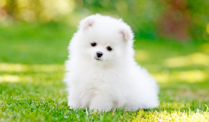 2022031111555840cd354a677547bbb64525c9386cfb42-14 2022031111555840cd354a677547bbb64525c9386cfb42-14