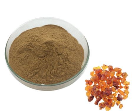 20220316114339db978c2ae4be4755aec3d37406e234f8-1 20220316114339db978c2ae4be4755aec3d37406e234f8-1