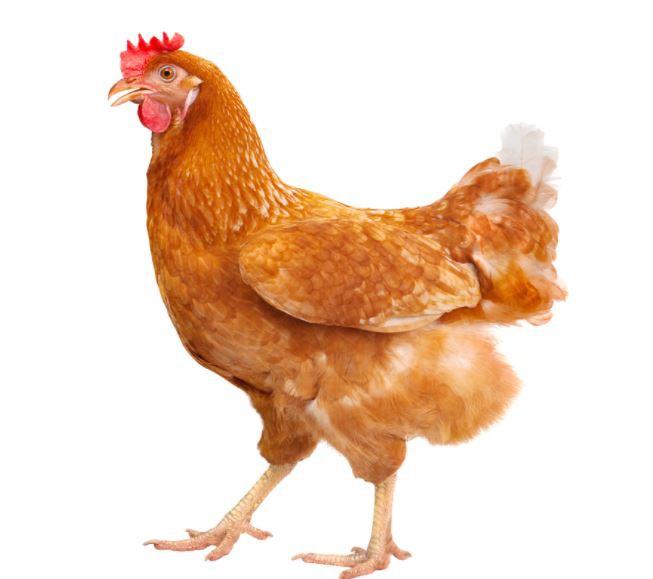 2022031711432202d94e2bdf834be6b8d73fa9be906fc5-3 2022031711432202d94e2bdf834be6b8d73fa9be906fc5-3