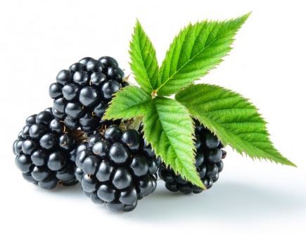 20220321130057da7a94b50e57449ca2bd1800b7b267ce 20220321130057da7a94b50e57449ca2bd1800b7b267ce