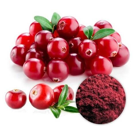 20220329152016a60d3ec96ac348f88ea466f35d781eb5-3 20220329152016a60d3ec96ac348f88ea466f35d781eb5-3