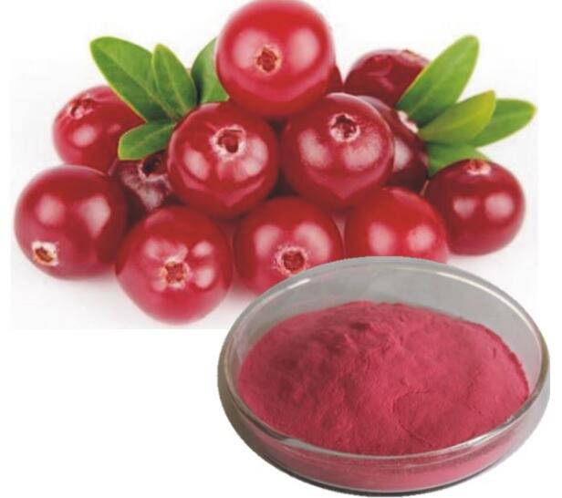 20220329155426e022bf81a1f74c95a89fab2485ba380f-1 20220329155426e022bf81a1f74c95a89fab2485ba380f-1