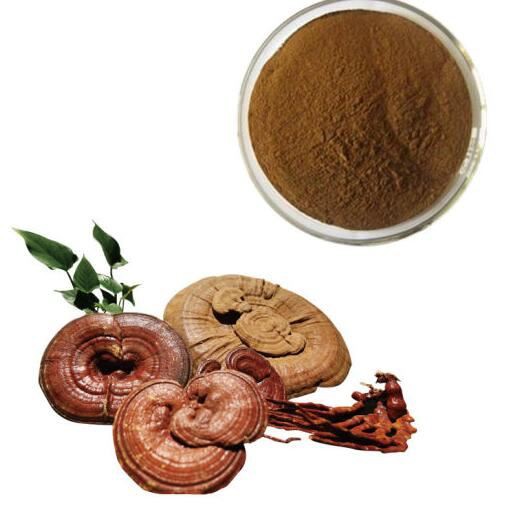 20220407165816225fe6bf83e94050b7f6aa8d11168c85-2 20220407165816225fe6bf83e94050b7f6aa8d11168c85-2