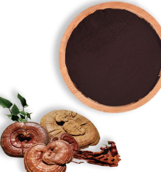 20220412120643e2d9d24006c84399864470dd254942b3 20220412120643e2d9d24006c84399864470dd254942b3