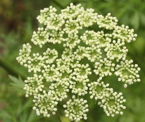 20220413155926657fe3af47ca4c7bb31f38bbdf83e869