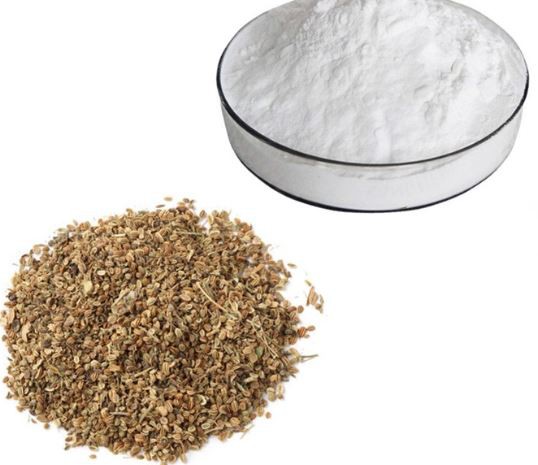 20220414111849693331479521422cb2c7700995cd4a25 20220414111849693331479521422cb2c7700995cd4a25