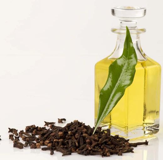 2022042110371560ebbe704b7945ff8d1125a01b30770b 2022042110371560ebbe704b7945ff8d1125a01b30770b