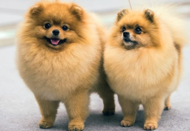 20220421105912d53c5dcac64447968674251b7d5663c7-4