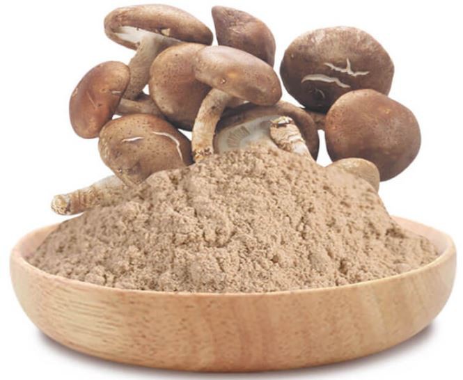 20220422105709b1d7ee67014e4c75a6e225b5af6dec51-1 20220422105709b1d7ee67014e4c75a6e225b5af6dec51-1