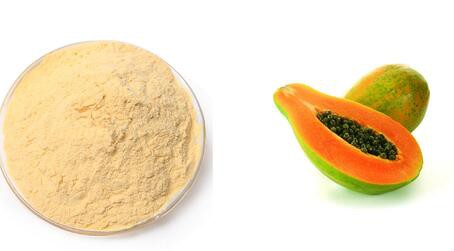 20220509155714ce2f7d4eabfe419ba4b1cbb693b9acf7-4 20220509155714ce2f7d4eabfe419ba4b1cbb693b9acf7-4