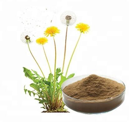 2022051313445956883534f76349cdb2a5e279a9a3afe2 2022051313445956883534f76349cdb2a5e279a9a3afe2