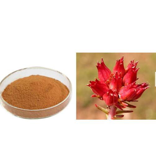 202205241335207297eeb6168f42c99bb506ef230ec2c3 202205241335207297eeb6168f42c99bb506ef230ec2c3