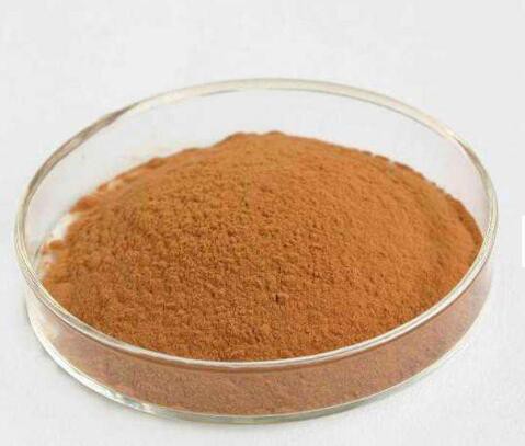 202205251337112187e212fef34a6ca5cf2ecc41ce7559-2 202205251337112187e212fef34a6ca5cf2ecc41ce7559-2