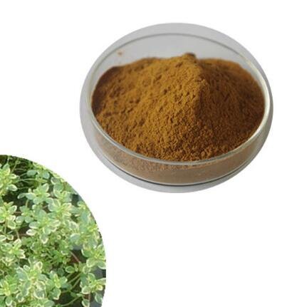 202206231139129719094218614ed6a3a359579695d2d7 202206231139129719094218614ed6a3a359579695d2d7