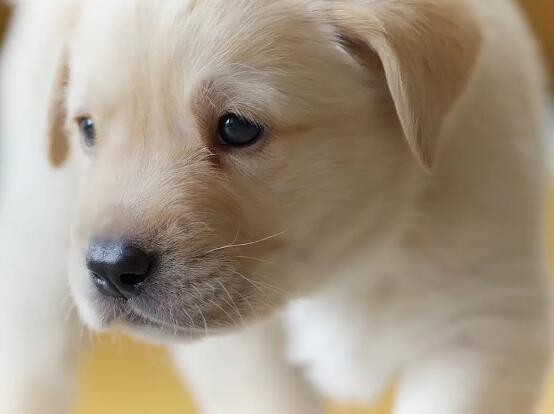 20220707140539a53984162c6f4c6fbac3844a5c074ad9 20220707140539a53984162c6f4c6fbac3844a5c074ad9