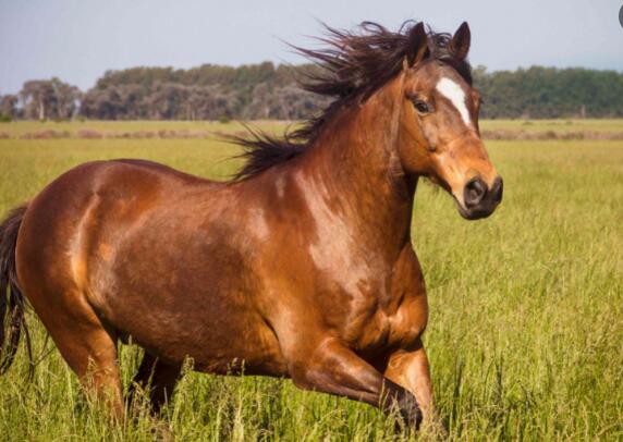 2022070714250568d390bcc82140ccb037230d1ada3022 2022070714250568d390bcc82140ccb037230d1ada3022