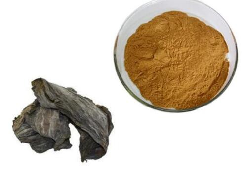 20220711143802438acdbe162d4a9db83747a8c67f9e86-1 20220711143802438acdbe162d4a9db83747a8c67f9e86-1