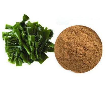 202207131412497ebf90103a0b4762bf9fe1386d47806e-1 202207131412497ebf90103a0b4762bf9fe1386d47806e-1