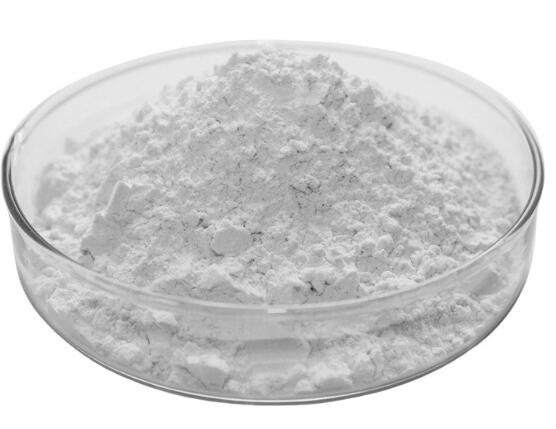 202207271313583db55e56cab8408aa522c31c37b6bdac 202207271313583db55e56cab8408aa522c31c37b6bdac