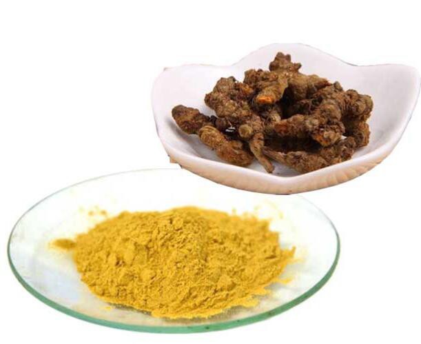 202208021552260ae369cd42d04dd59de7a90965cd9ea5 202208021552260ae369cd42d04dd59de7a90965cd9ea5