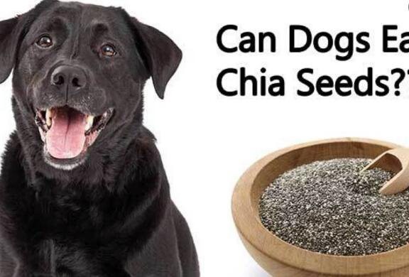 20220810134327a8c8485588fc431e8784cf3dab75fd24 20220810134327a8c8485588fc431e8784cf3dab75fd24