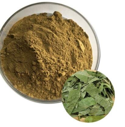 202208231359429a05b141b10c41279177d6c480ed9d53