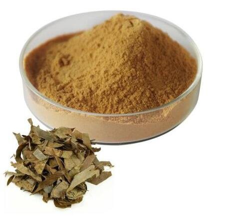 20220825134018824db3af9991417990074a04bb089c00 20220825134018824db3af9991417990074a04bb089c00