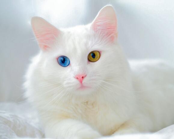 20220907143259c2fa916b7adf4050b143b7a381c028b8-5 20220907143259c2fa916b7adf4050b143b7a381c028b8-5