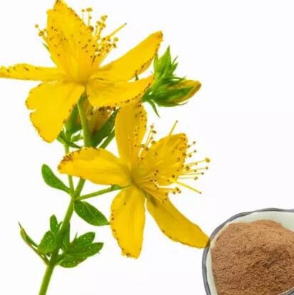 202211081539085a9aa0f56f6a41ae88f4298c13e9dd33 202211081539085a9aa0f56f6a41ae88f4298c13e9dd33