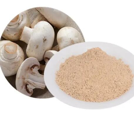 2023020211372795bc7af3ec814b48a7bf41693a2ee2f8 2023020211372795bc7af3ec814b48a7bf41693a2ee2f8