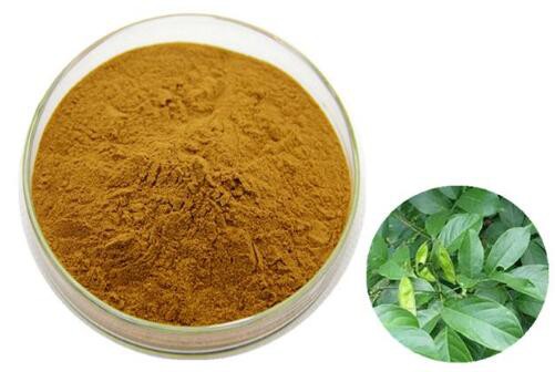 2023020815121451de1171e64946c781fc3167fd5f103a-1 2023020815121451de1171e64946c781fc3167fd5f103a-1