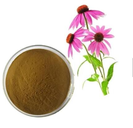 20230217130820f9c7173e9c6f40988258171bccbc5f36 20230217130820f9c7173e9c6f40988258171bccbc5f36