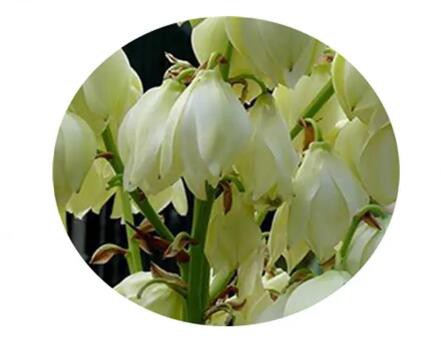 202303061410110727250198f24f88a8214693730d96c5 202303061410110727250198f24f88a8214693730d96c5