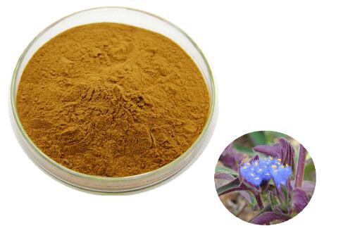 202303141110509ad699692f49430fbfb72f3a8cb81a92-1 202303141110509ad699692f49430fbfb72f3a8cb81a92-1