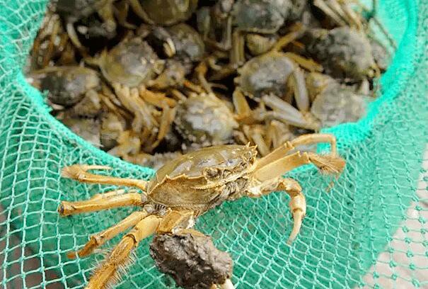 202303141138208a3c191da5bd491eb57c7eb787aec04c 202303141138208a3c191da5bd491eb57c7eb787aec04c