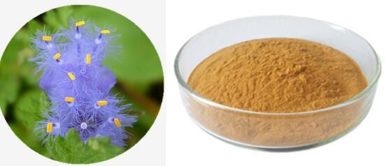 2023031516332605eccc0193b44510ade95e2d8e9090a7 2023031516332605eccc0193b44510ade95e2d8e9090a7