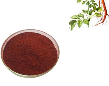 20230316160446c0bf07e194b149df867c38803fd0de4e 20230316160446c0bf07e194b149df867c38803fd0de4e