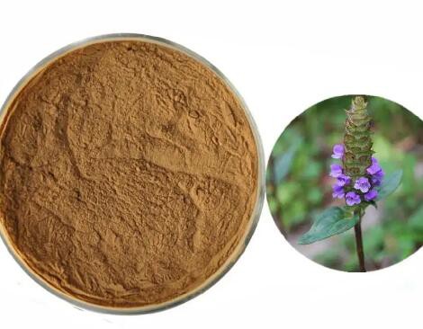 20230412152822a4090053e0cc447a99154922427679cc 20230412152822a4090053e0cc447a99154922427679cc