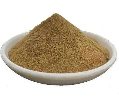 202304141538000543f0e15b7f4a2d8fa3c4bcb19388d5