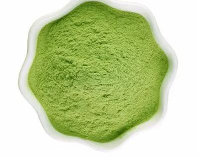 202304171605260881ebe4fb494617a7a37e009a6b61f1 202304171605260881ebe4fb494617a7a37e009a6b61f1