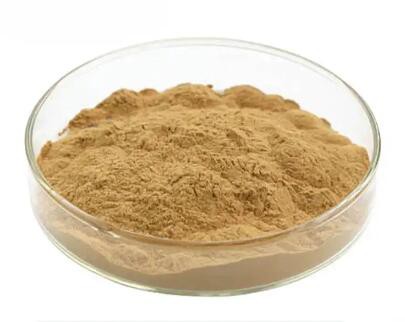 202304271426125898018180cc4cfa84d9d568ae86bfc6 202304271426125898018180cc4cfa84d9d568ae86bfc6