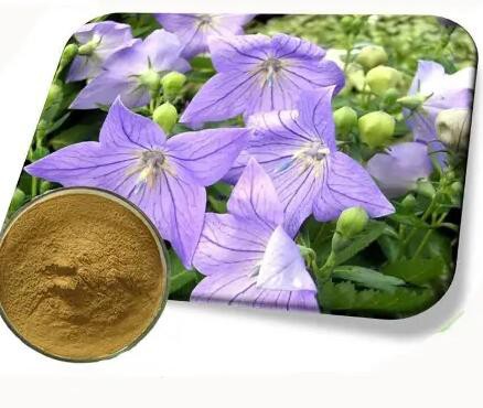 20230506135329d75760d9454748648b85d6442fdb250b 20230506135329d75760d9454748648b85d6442fdb250b