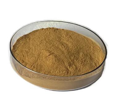 202305091459536e7207b6bb3d4de0ace716ec2ab65e5e