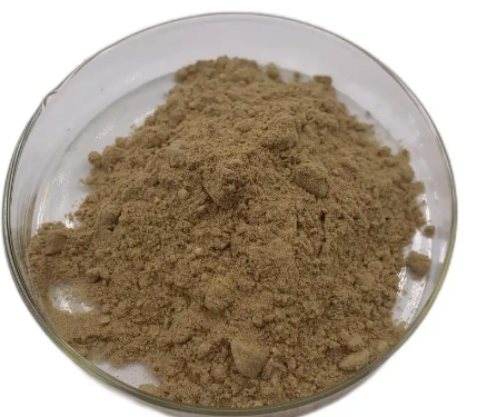 20230523172518d05f48e0b55443d28fdd528d7cc7af9f 20230523172518d05f48e0b55443d28fdd528d7cc7af9f