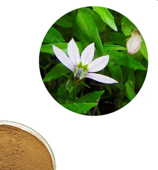 20230612144938d0b9a383164d447ea4bdc7b67cef43ea 20230612144938d0b9a383164d447ea4bdc7b67cef43ea